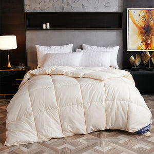 Goose Down Winter Duvet Core – Lightweight, Warm & Breathable Air Conditioner Compatible Comforter
