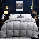 Goose Down Winter Duvet Core – Lightweight, Warm & Breathable Air Conditioner Compatible Comforter